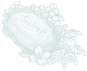 Votre massage naturiste